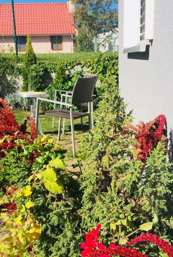 Apartmán U ZÁMECKÉ DYJE Lednice Kültér fotó